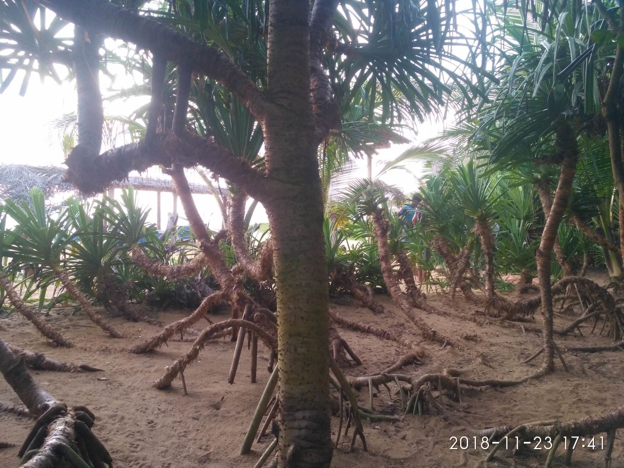 Ravana - Beach Cabanas Hikkaduwa Kültér fotó